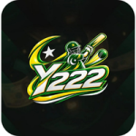 Y222 Game