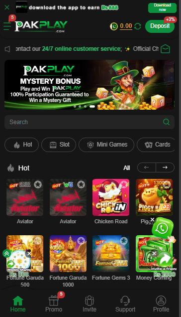 PakPlay Game