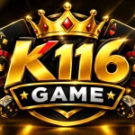 K116 Game