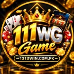 111WG Game